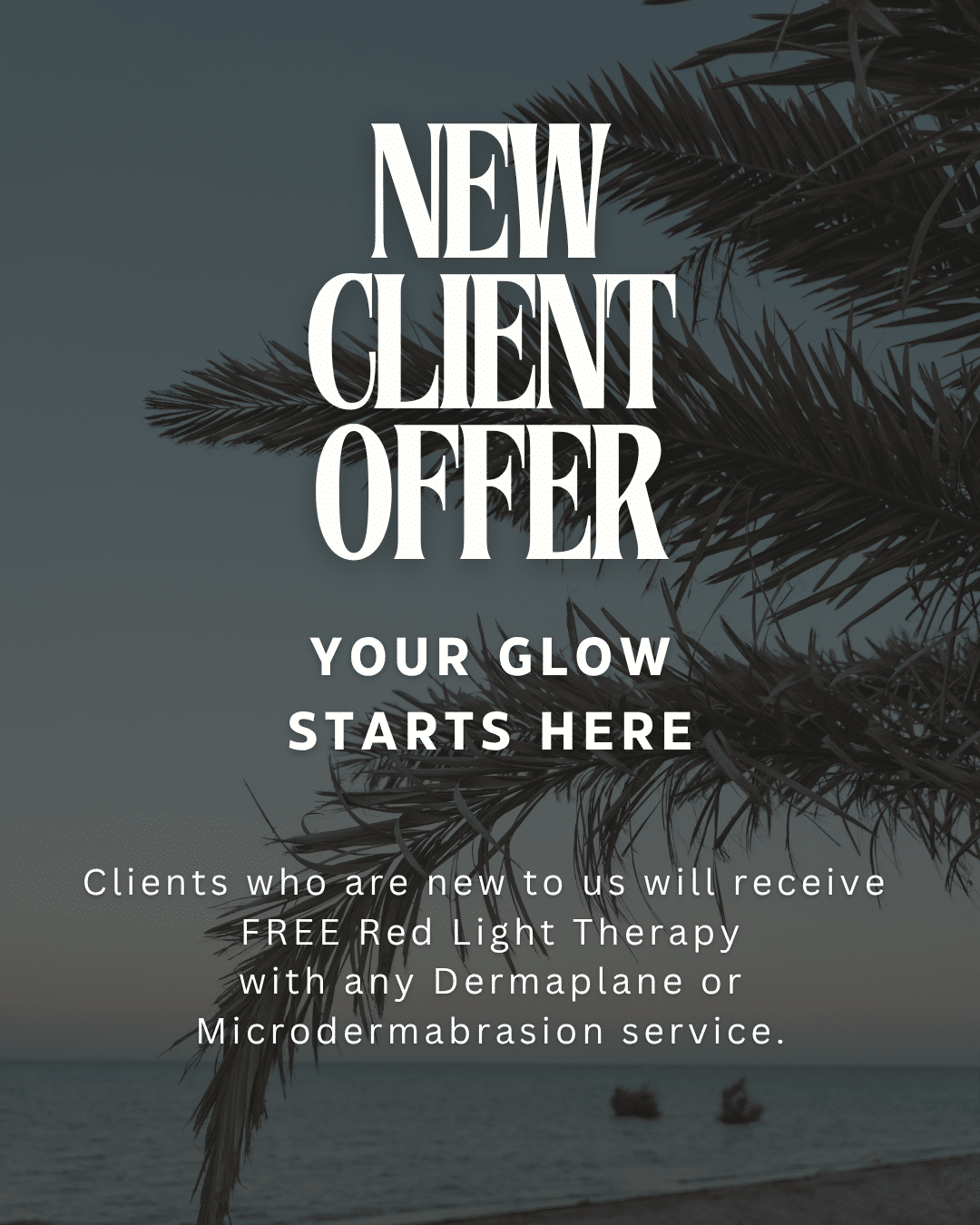 New Client Offer